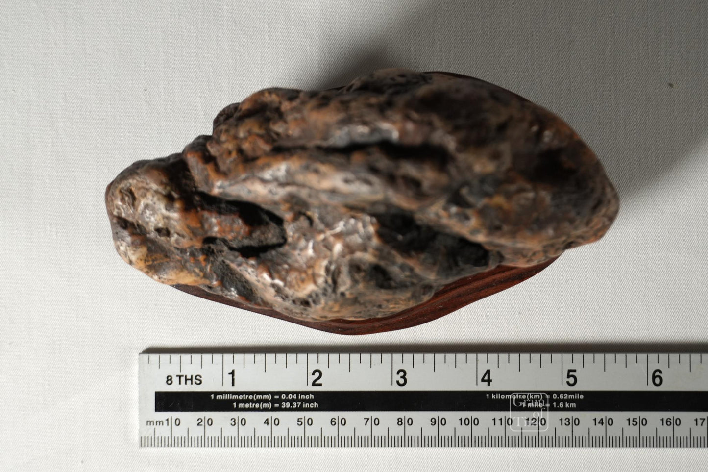 24958: Kamuikotan Suiseki - "Buddhas Hand" - 5½ in (14cm)