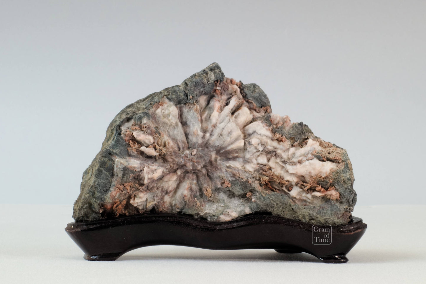 24170 - Chrysanthemum Stone - Kikka-ishi - 6¼in (16cm)