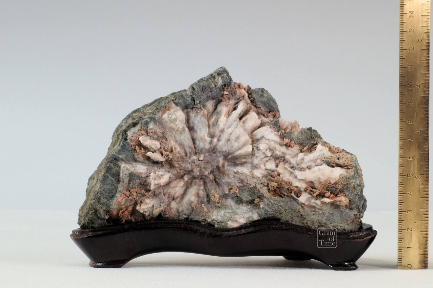 24170 - Chrysanthemum Stone - Kikka-ishi - 6¼in (16cm)