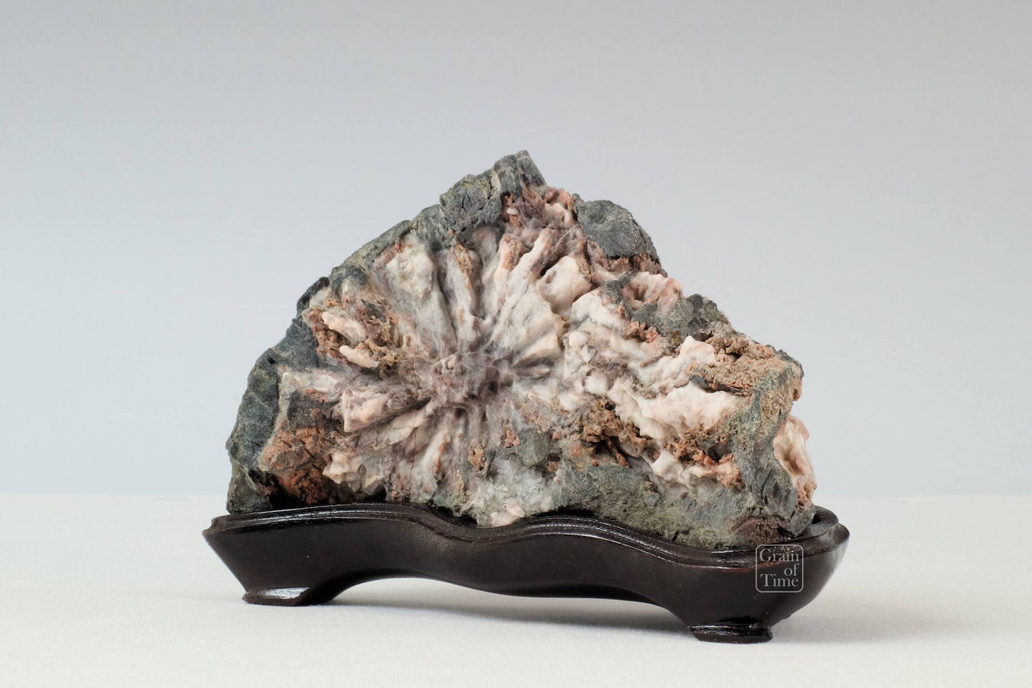 24170 - Chrysanthemum Stone - Kikka-ishi - 6¼in (16cm)