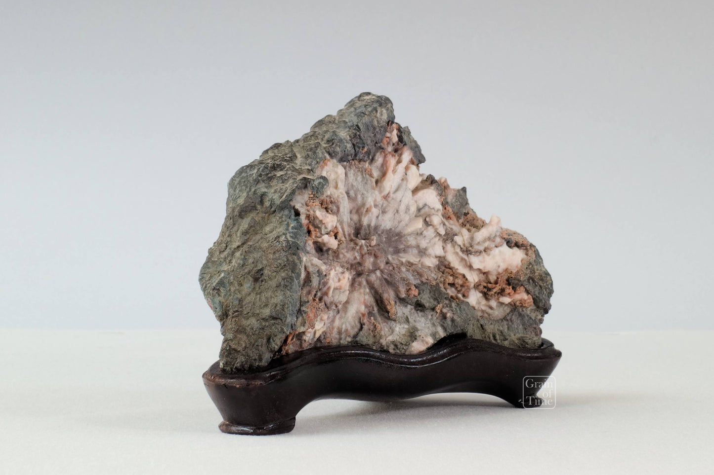 24170 - Chrysanthemum Stone - Kikka-ishi - 6¼in (16cm)
