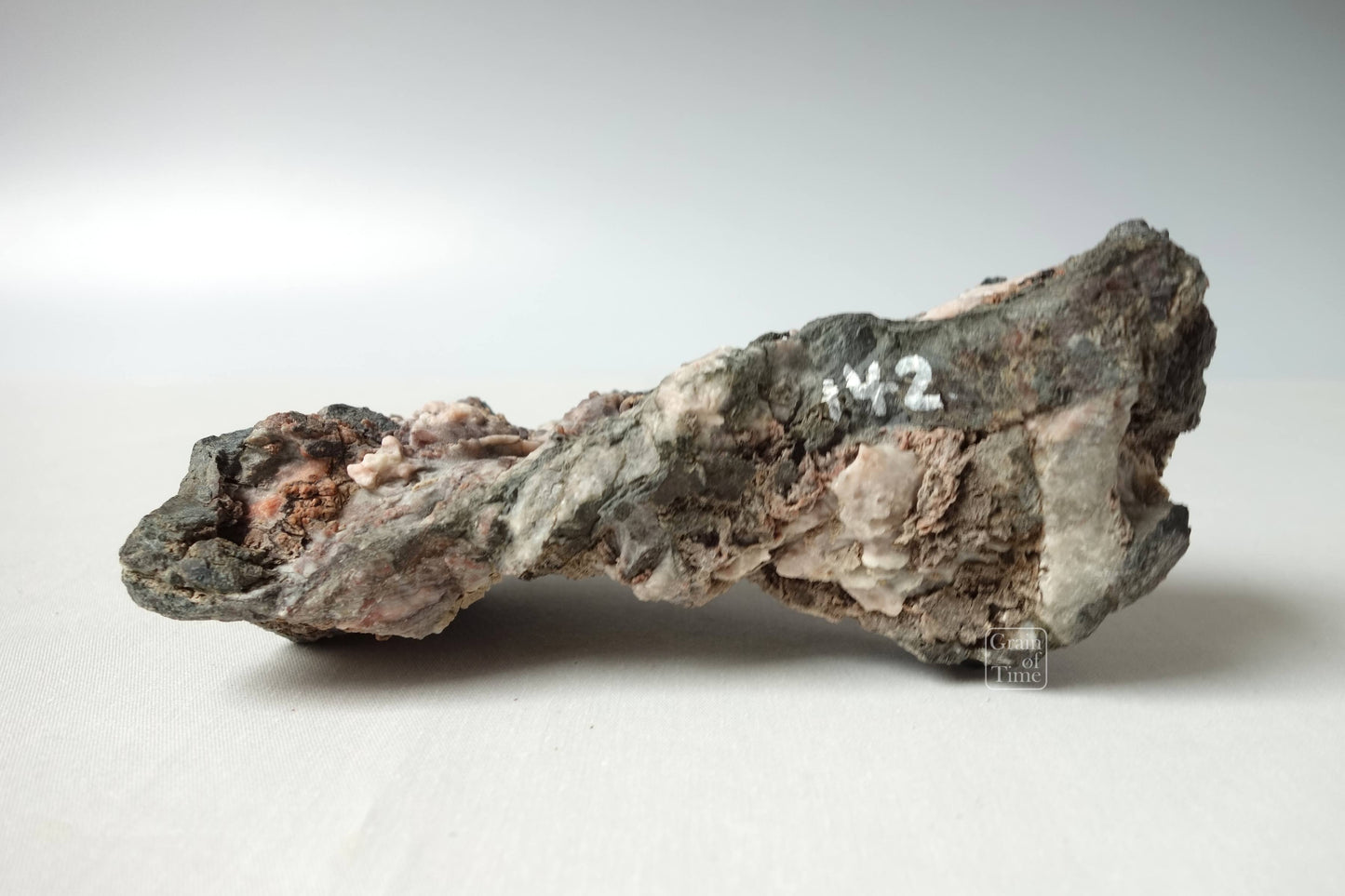 24170 - Chrysanthemum Stone - Kikka-ishi - 6¼in (16cm)