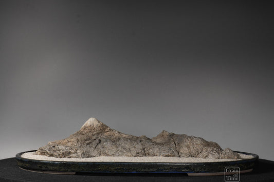 24982: Fujieda Crepe Suiseki (Yojuro Style)- 16½ in (42cm)