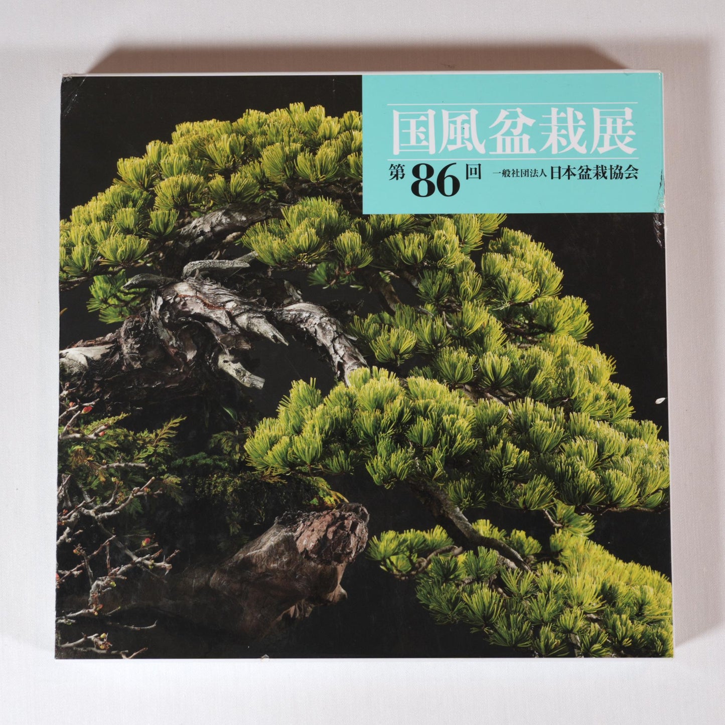 86th Kokufu Exhibition Catalogue - 2012