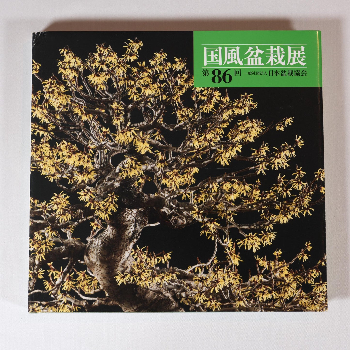 86th Kokufu Exhibition Catalogue - 2012