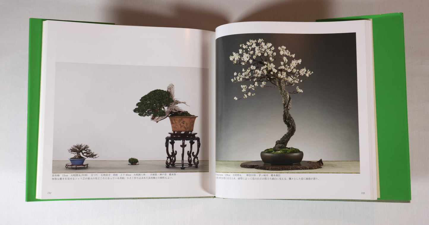 86th Kokufu Exhibition Catalogue - 2012
