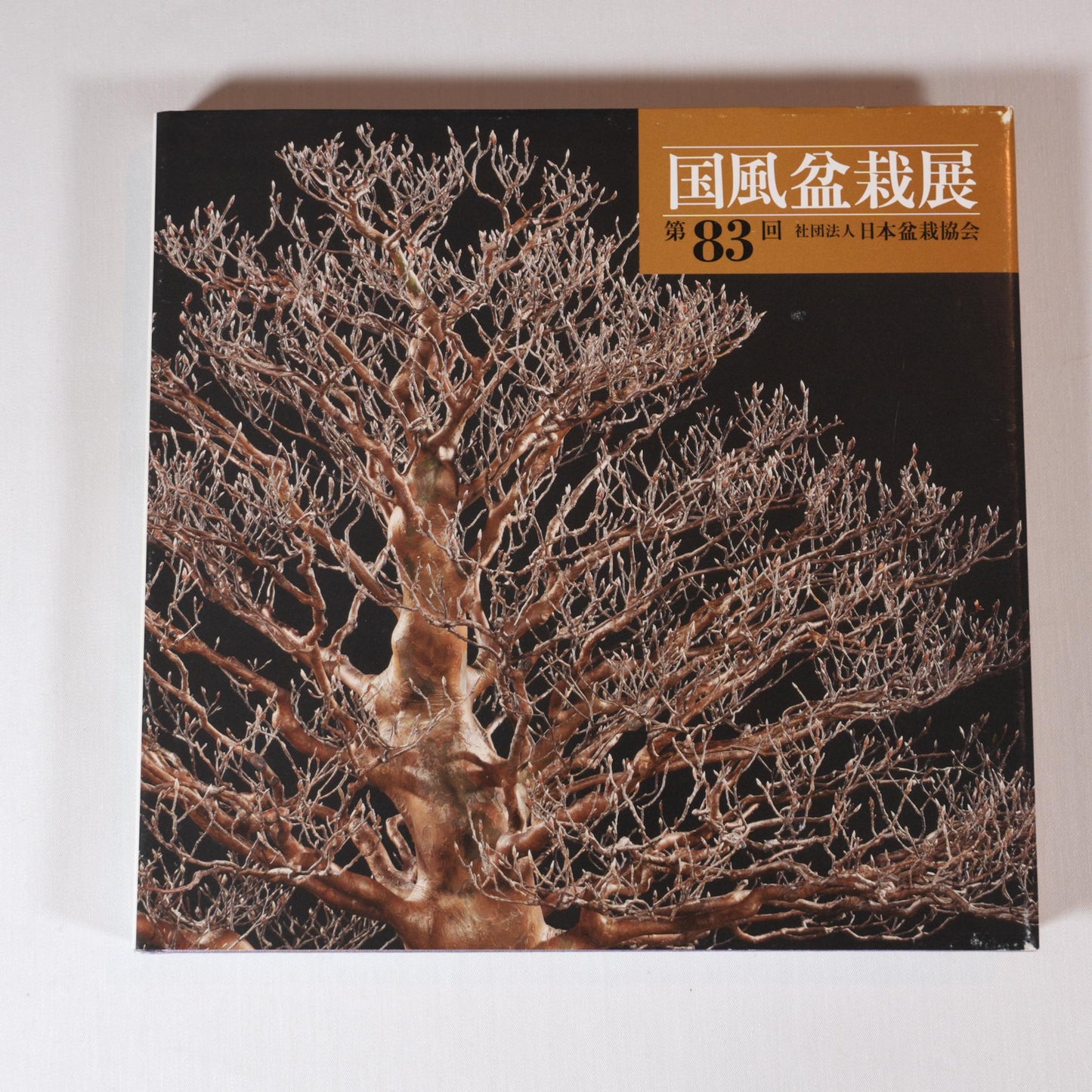 83rd Kokufu Exhibition Catalogue - 2009