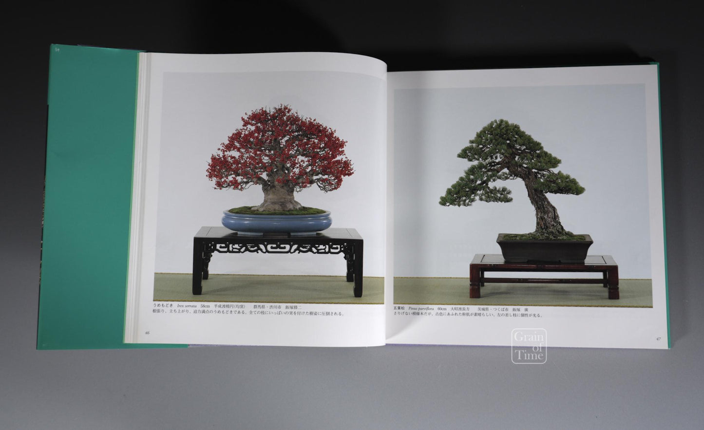 79th Kokufu Exhibition Catalogue - 2005