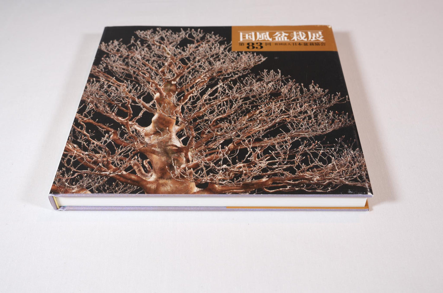 83rd Kokufu Exhibition Catalogue - 2009