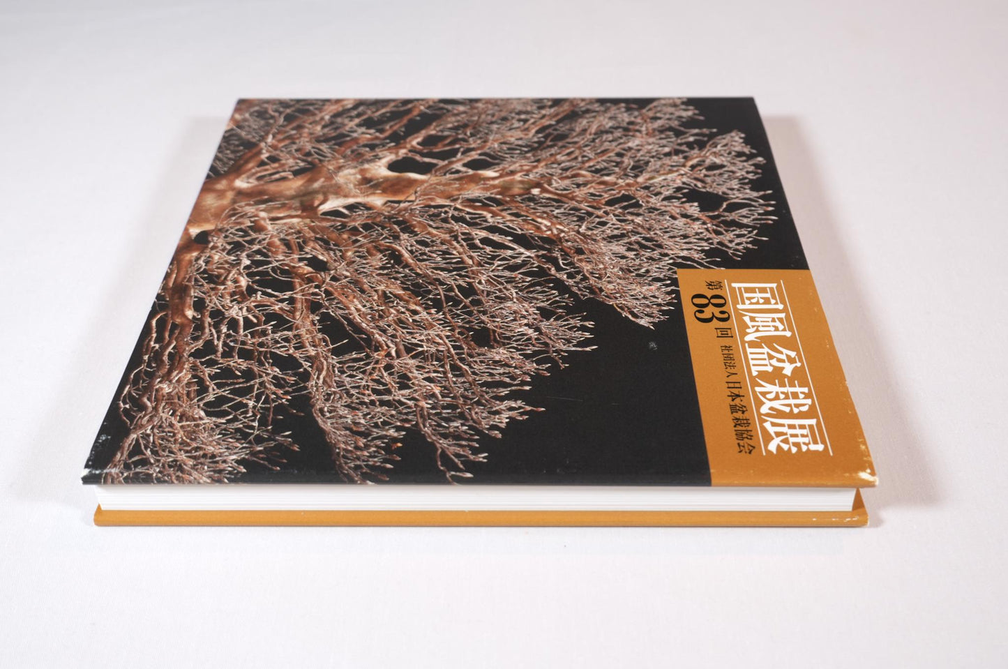83rd Kokufu Exhibition Catalogue - 2009