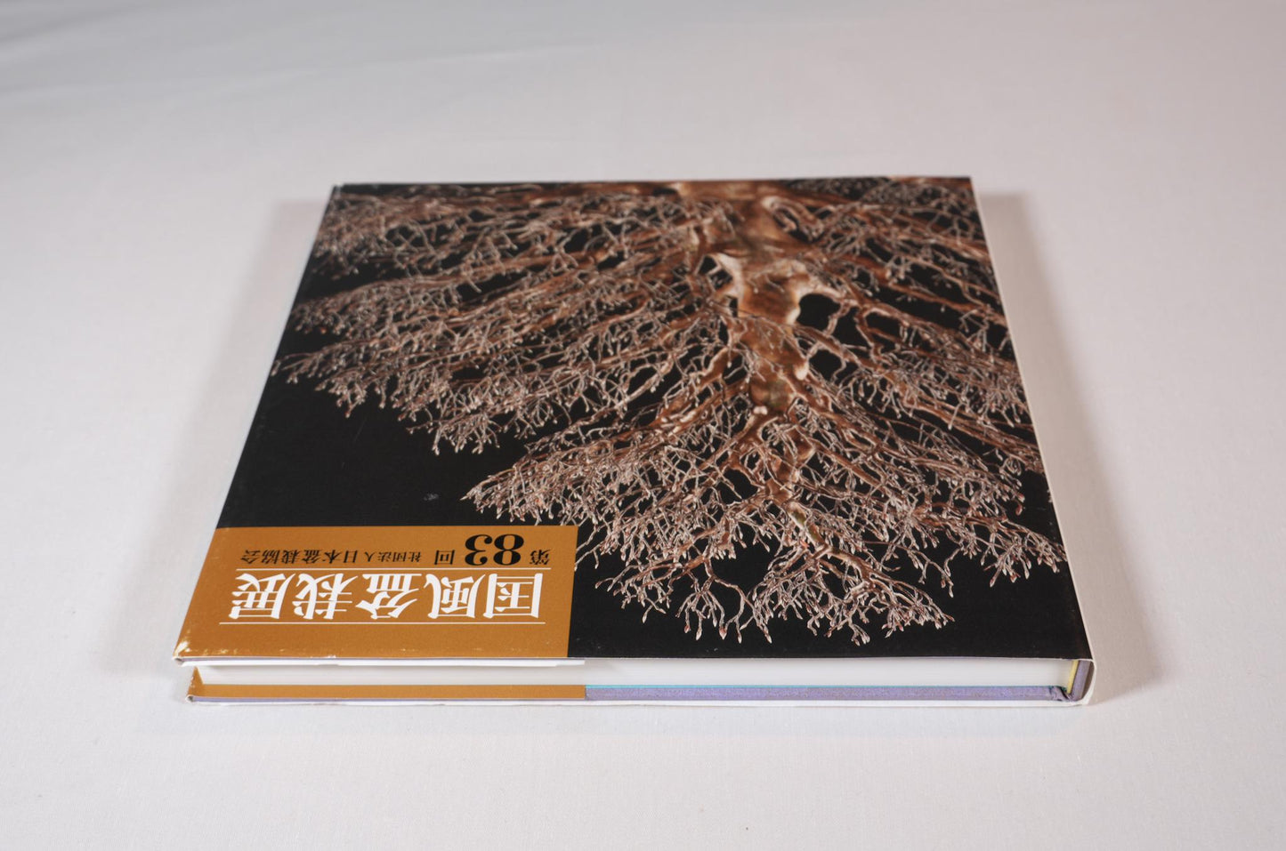 83rd Kokufu Exhibition Catalogue - 2009