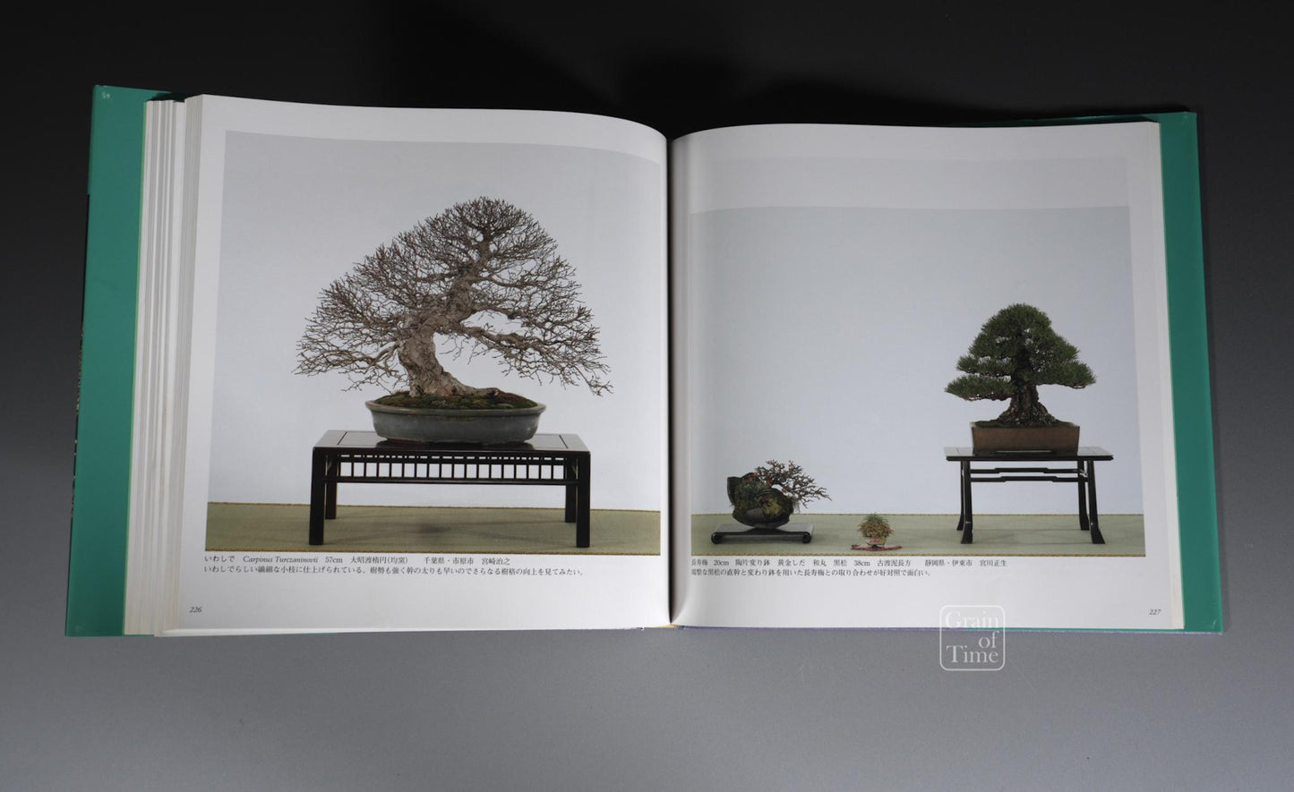 79th Kokufu Exhibition Catalogue - 2005