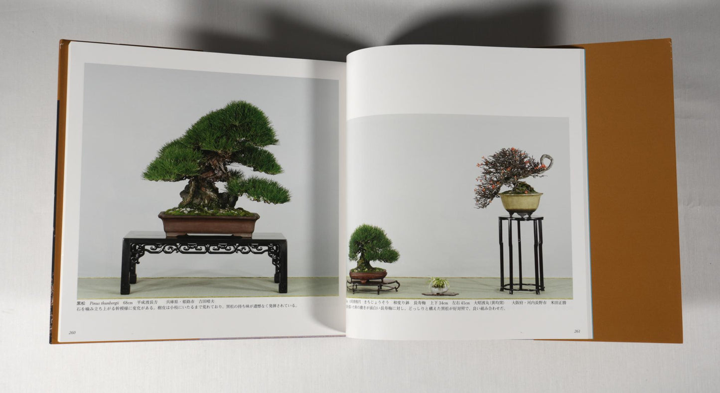 83rd Kokufu Exhibition Catalogue - 2009