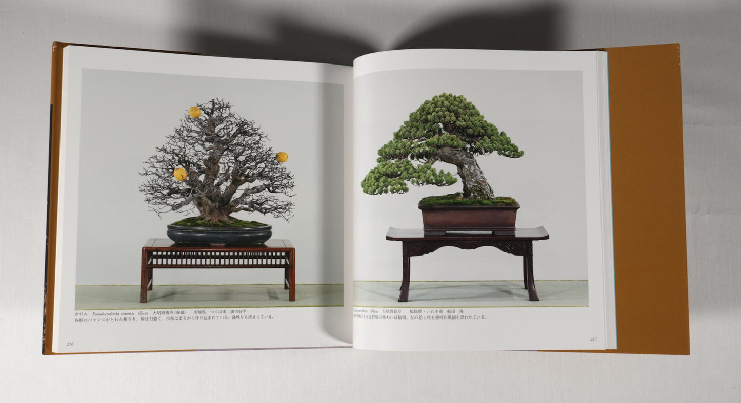 83rd Kokufu Exhibition Catalogue - 2009