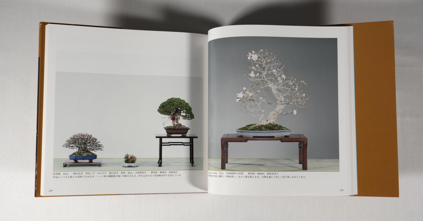83rd Kokufu Exhibition Catalogue - 2009