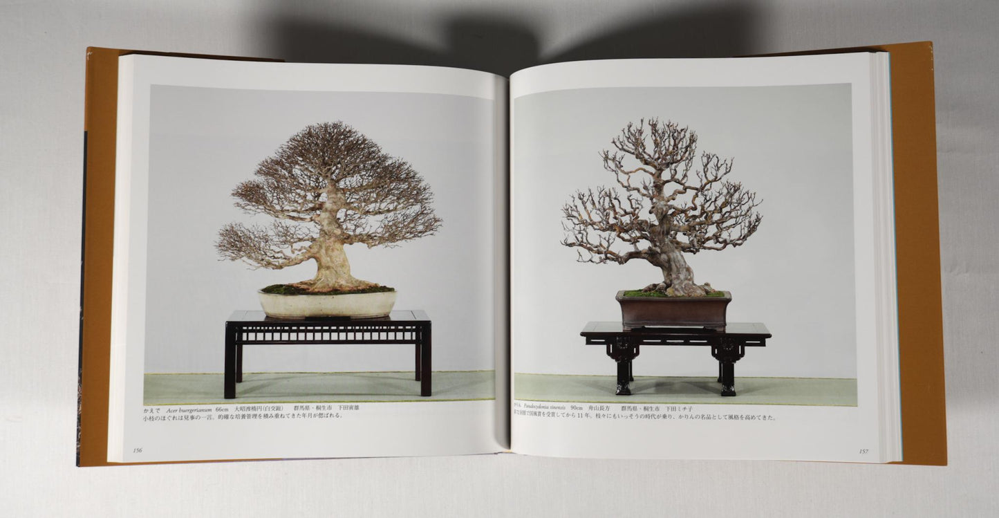 83rd Kokufu Exhibition Catalogue - 2009