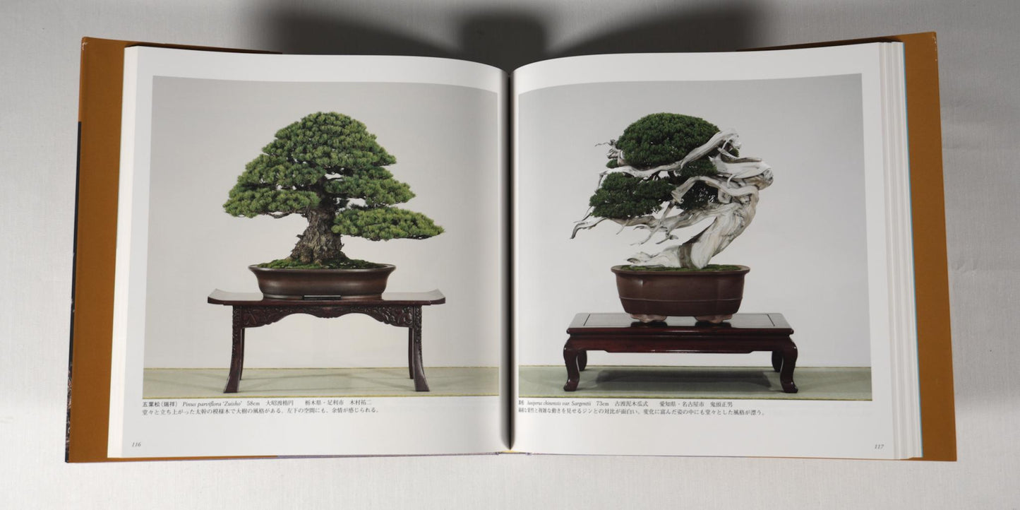 83rd Kokufu Exhibition Catalogue - 2009