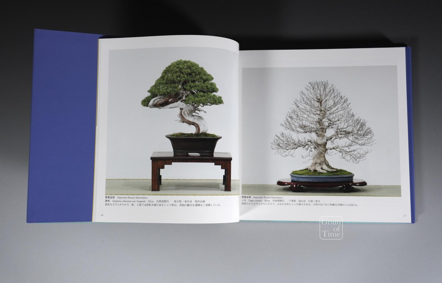 84th Kokufu Exhibition Catalogue - 2010