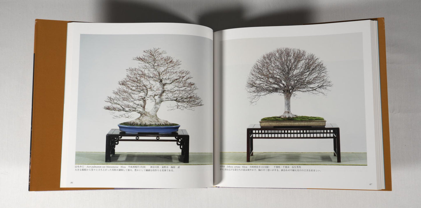 83rd Kokufu Exhibition Catalogue - 2009