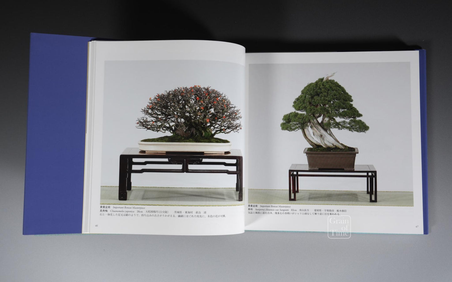 84th Kokufu Exhibition Catalogue - 2010
