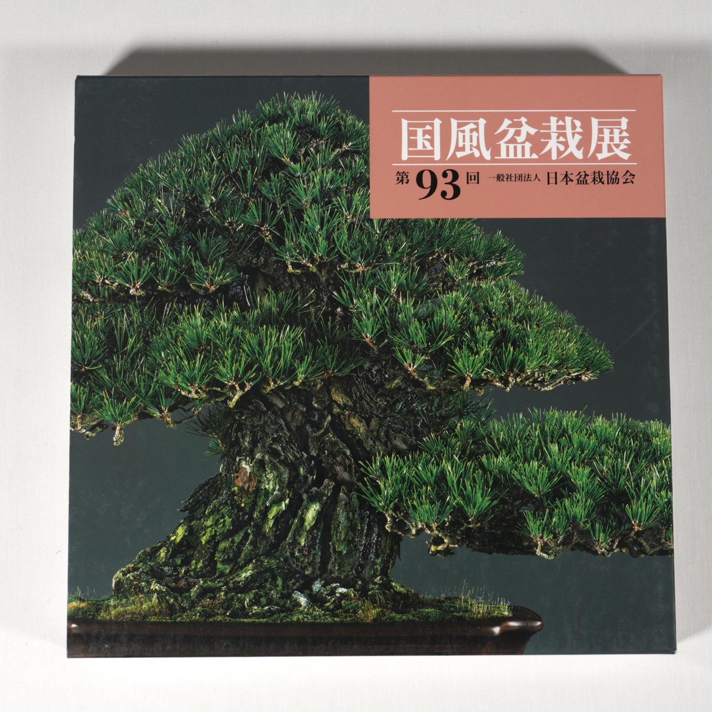 93rd Kokufu Exhibition Catalogue - 2019
