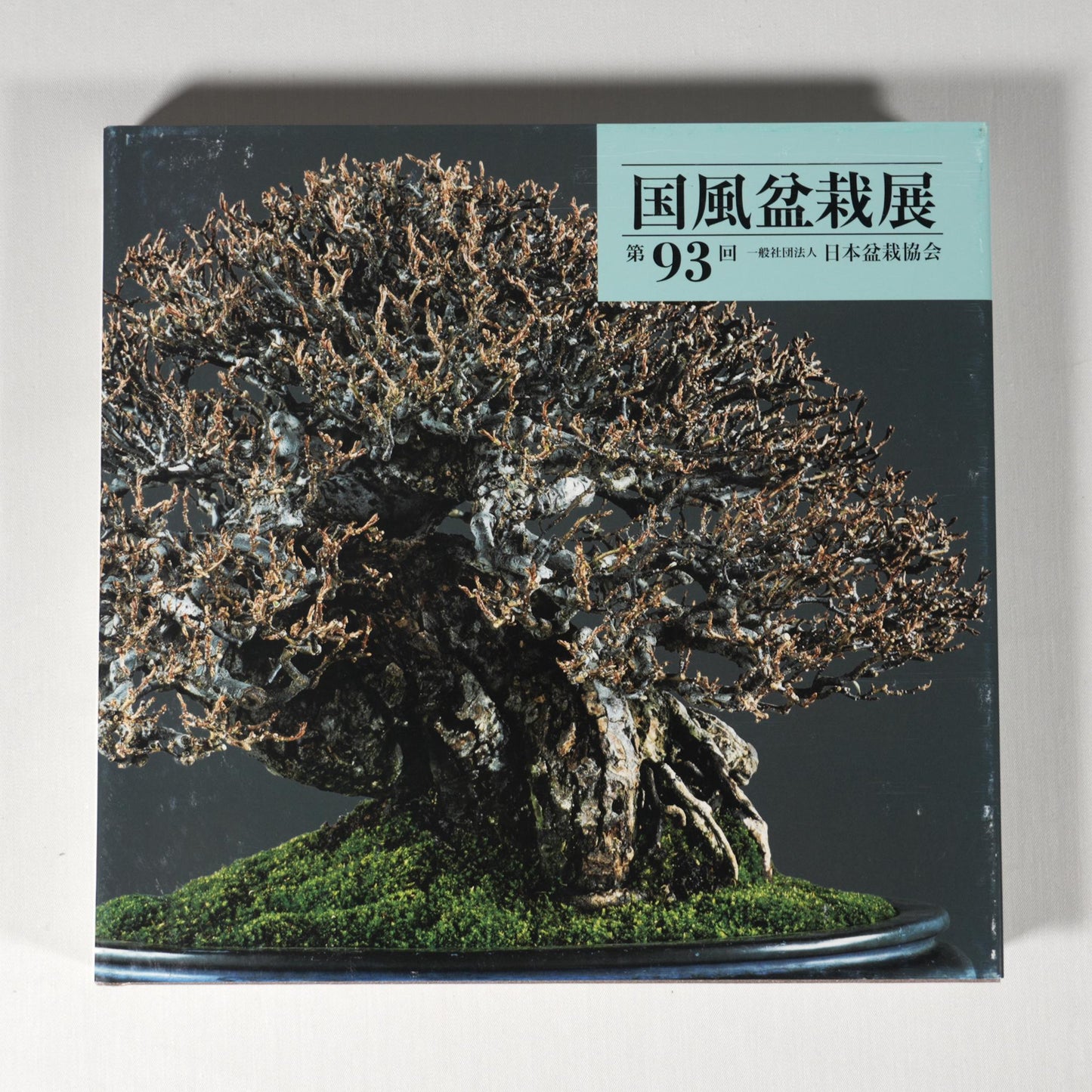 93rd Kokufu Exhibition Catalogue - 2019