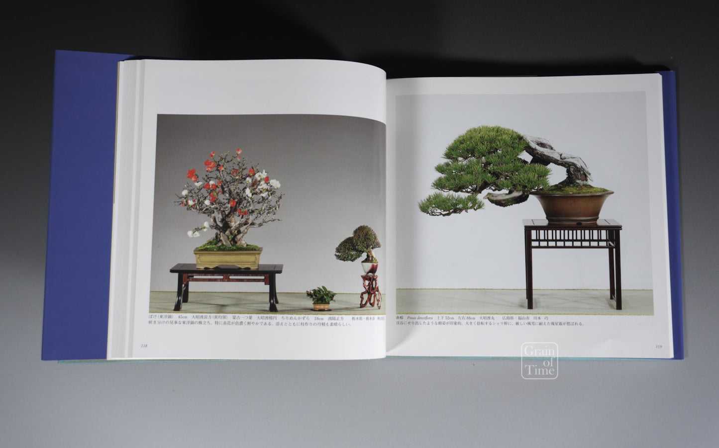 84th Kokufu Exhibition Catalogue - 2010