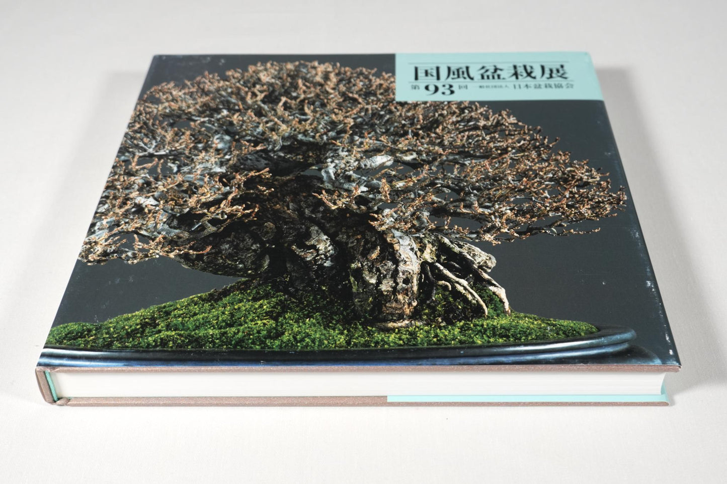 93rd Kokufu Exhibition Catalogue - 2019