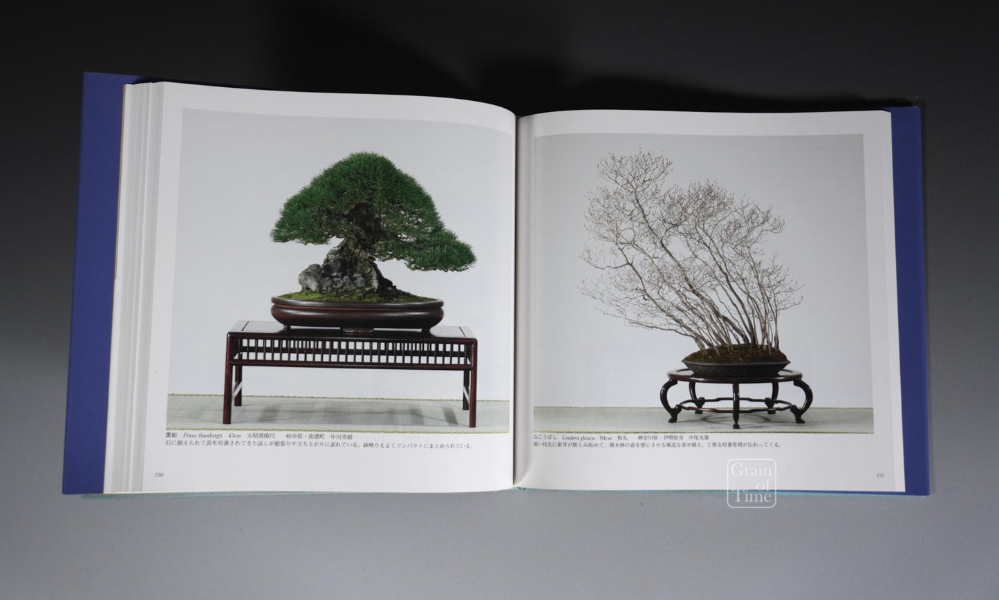 84th Kokufu Exhibition Catalogue - 2010