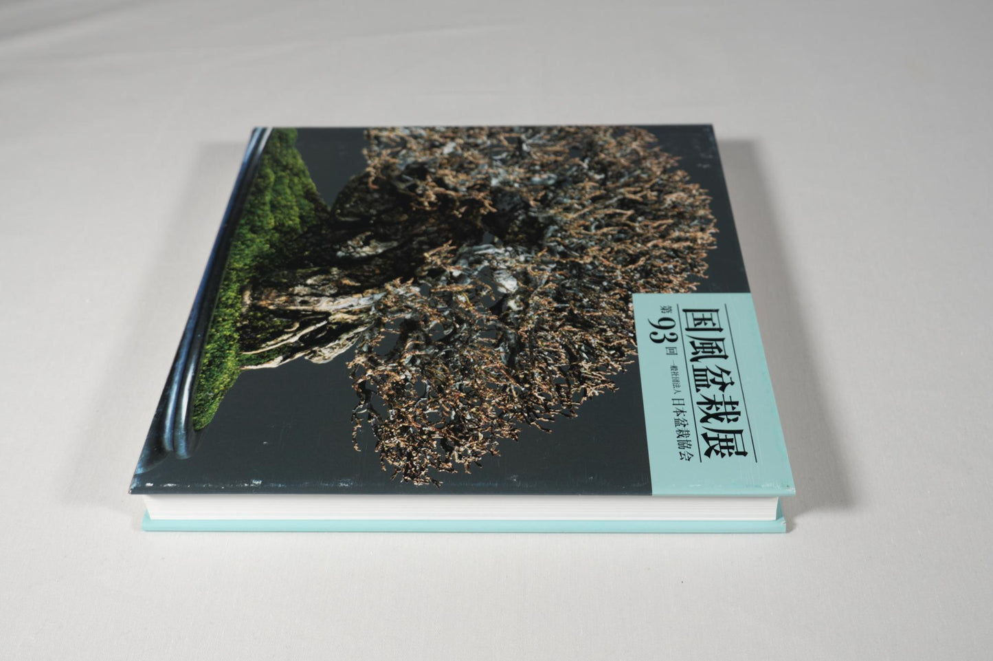 93rd Kokufu Exhibition Catalogue - 2019