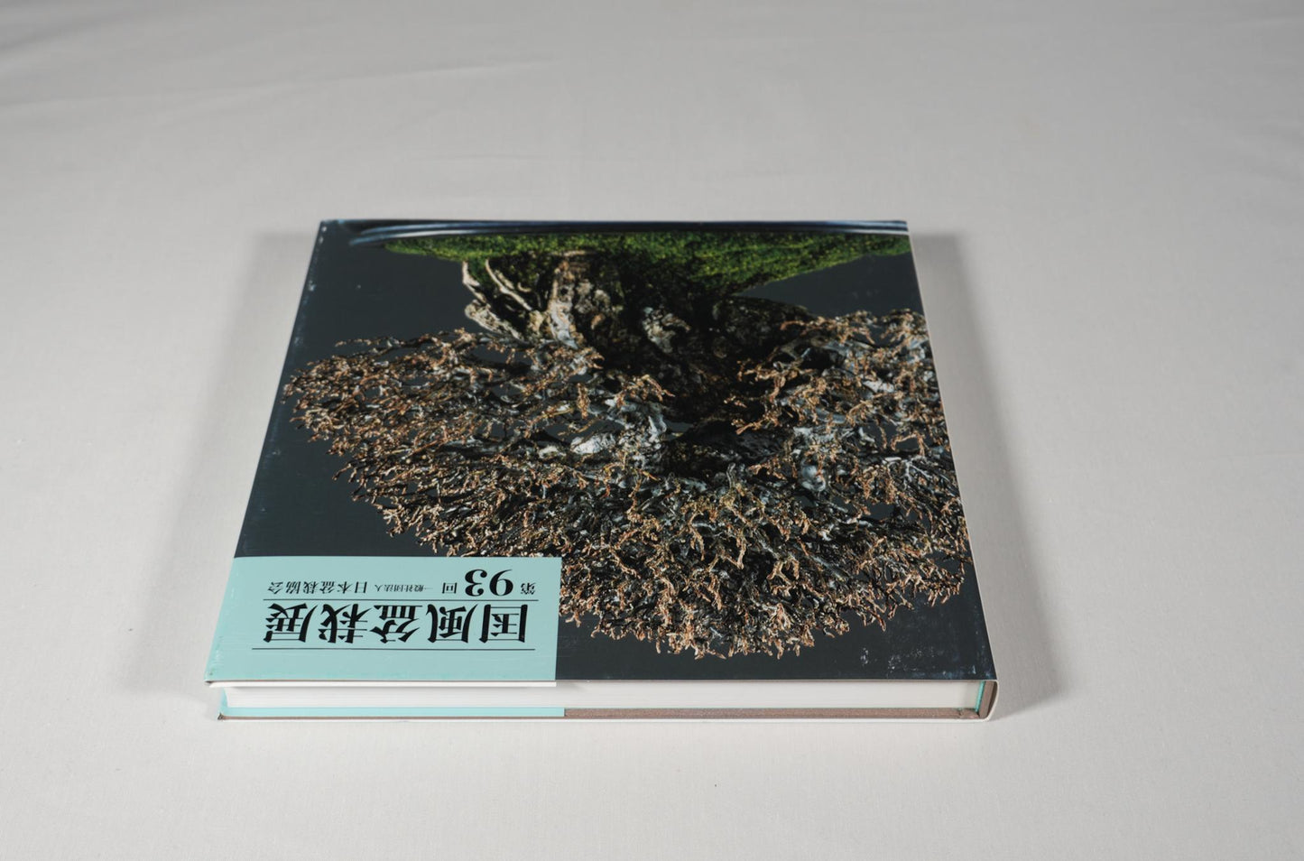 93rd Kokufu Exhibition Catalogue - 2019