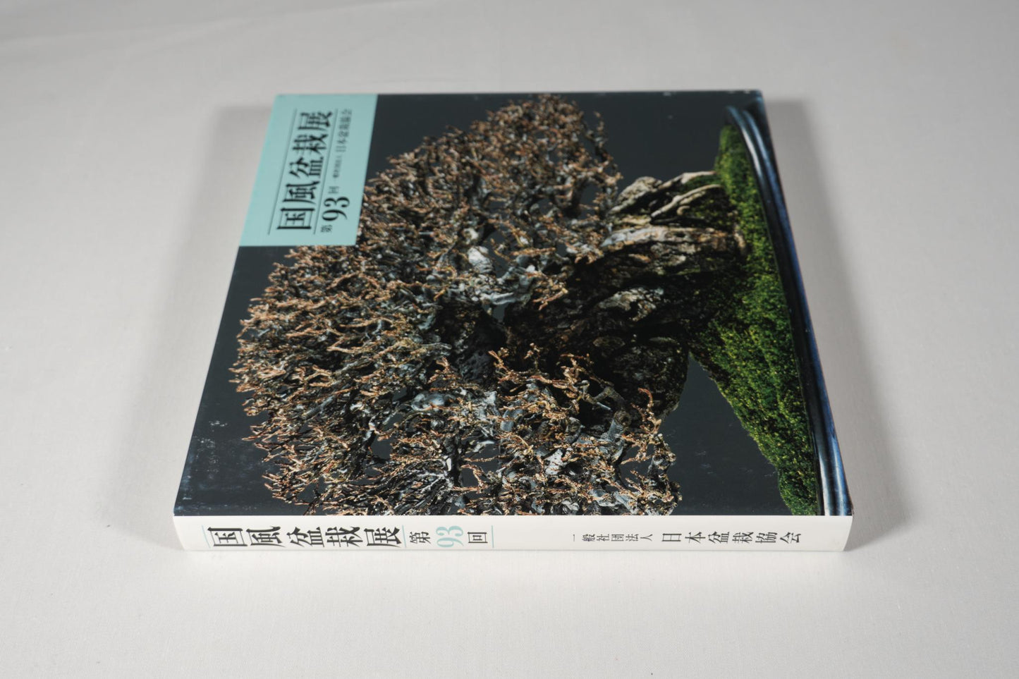 93rd Kokufu Exhibition Catalogue - 2019