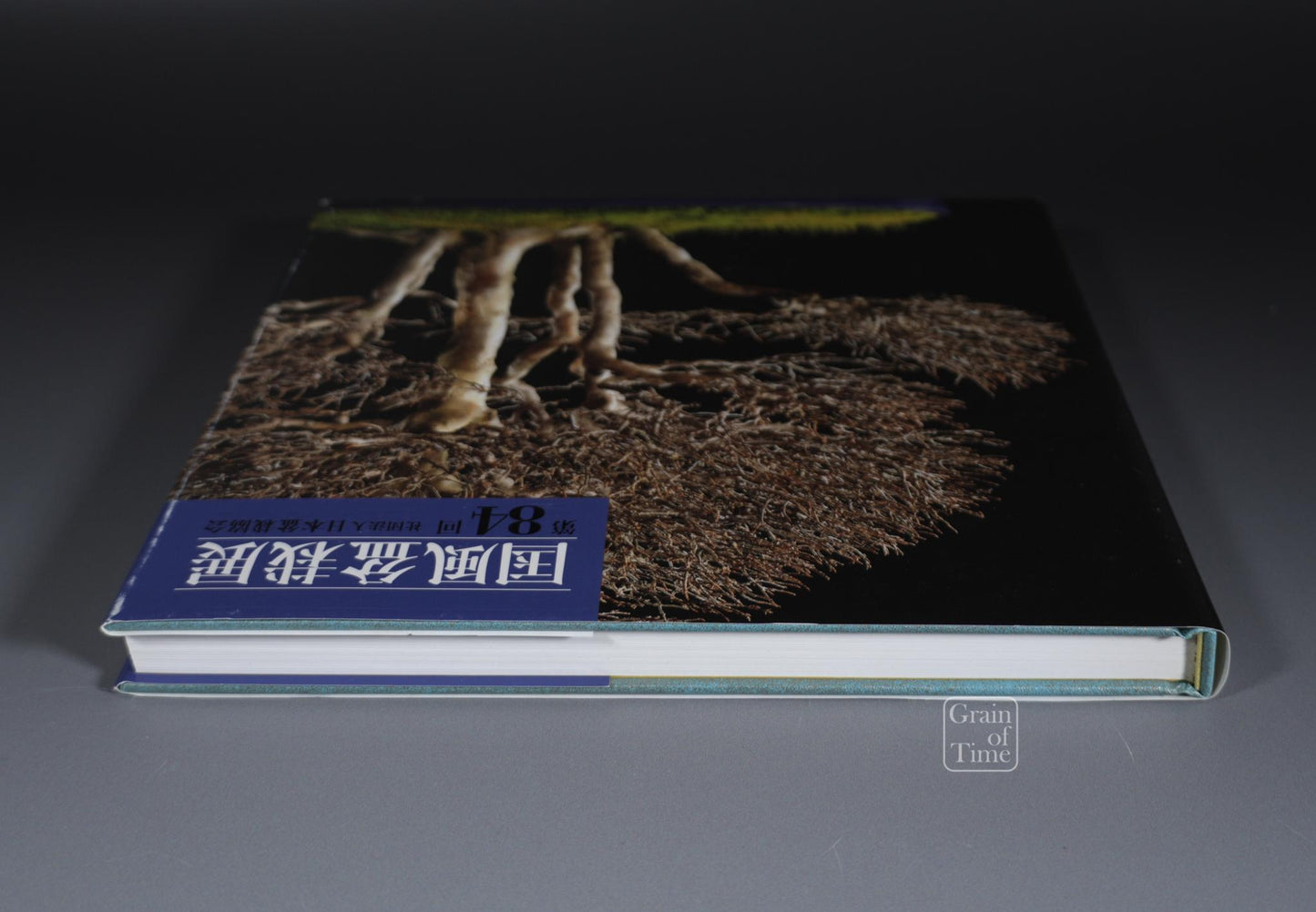 84th Kokufu Exhibition Catalogue - 2010