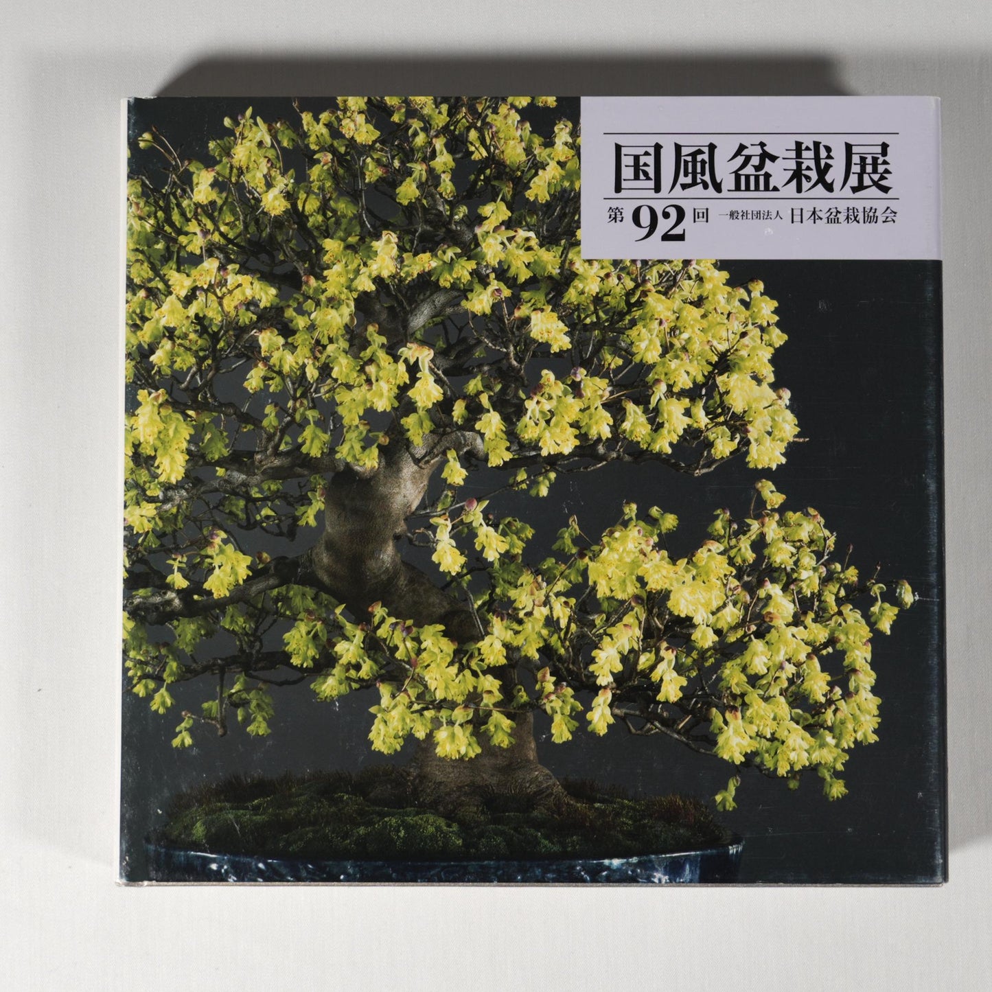 92nd Kokufu Exhibition Catalogue - 2018