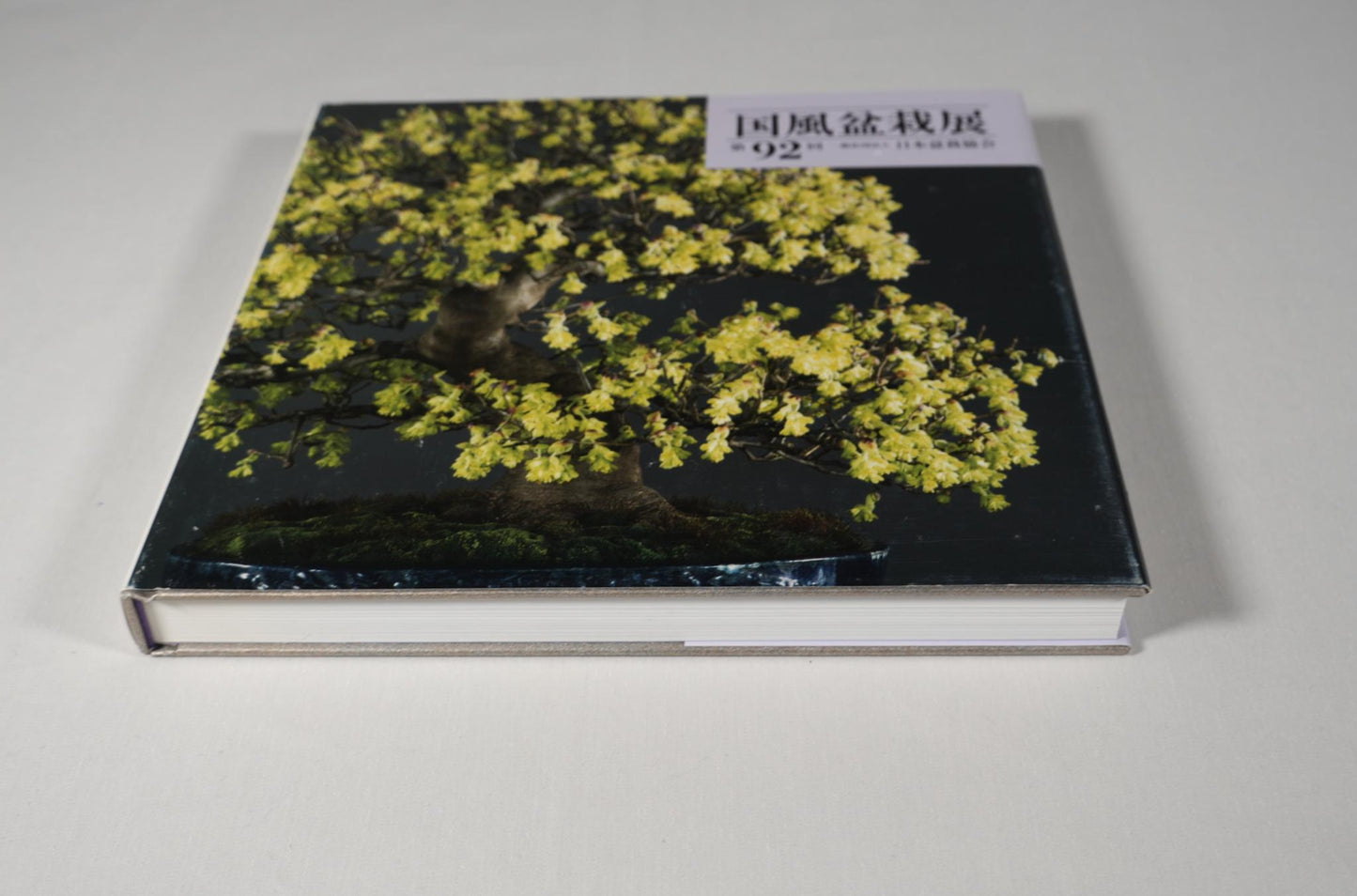 92nd Kokufu Exhibition Catalogue - 2018