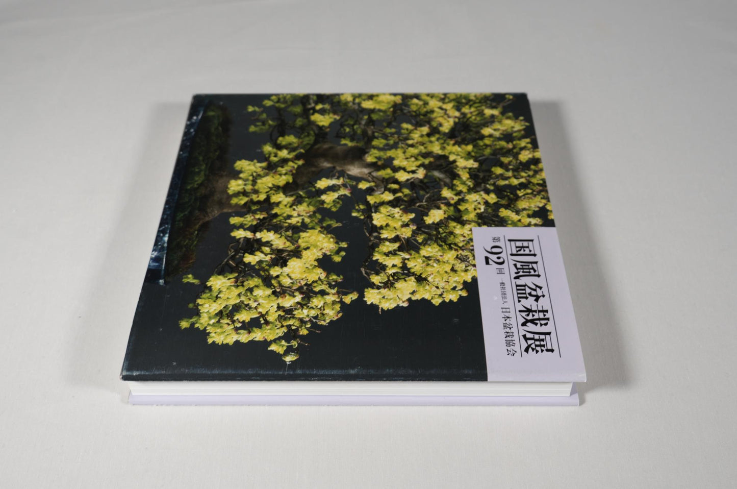 92nd Kokufu Exhibition Catalogue - 2018