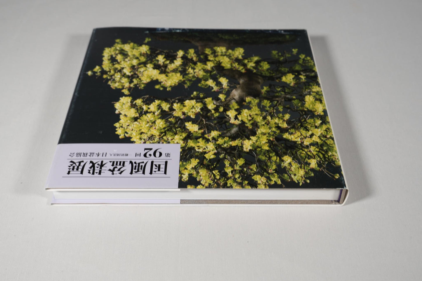 92nd Kokufu Exhibition Catalogue - 2018