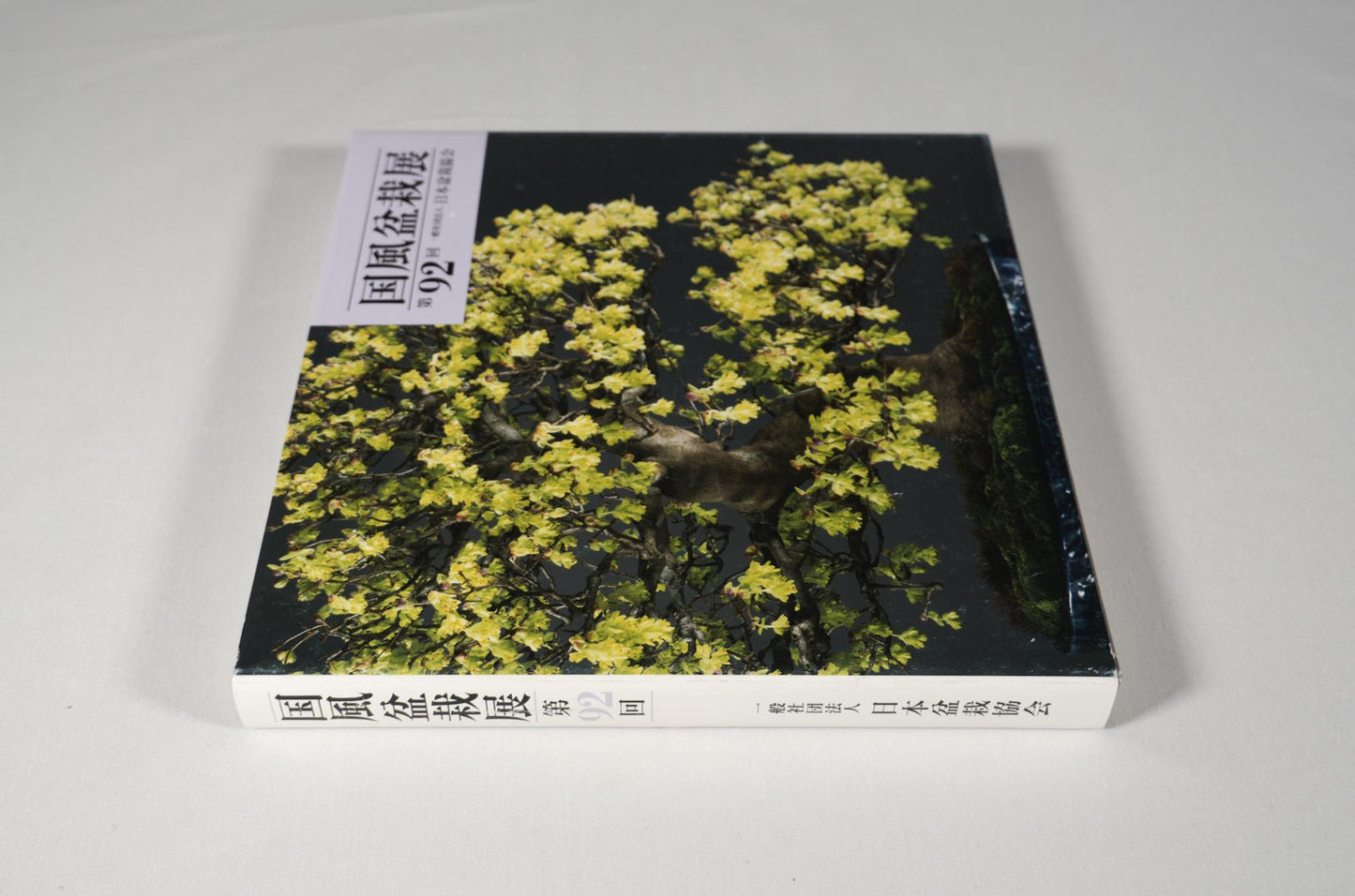 92nd Kokufu Exhibition Catalogue - 2018