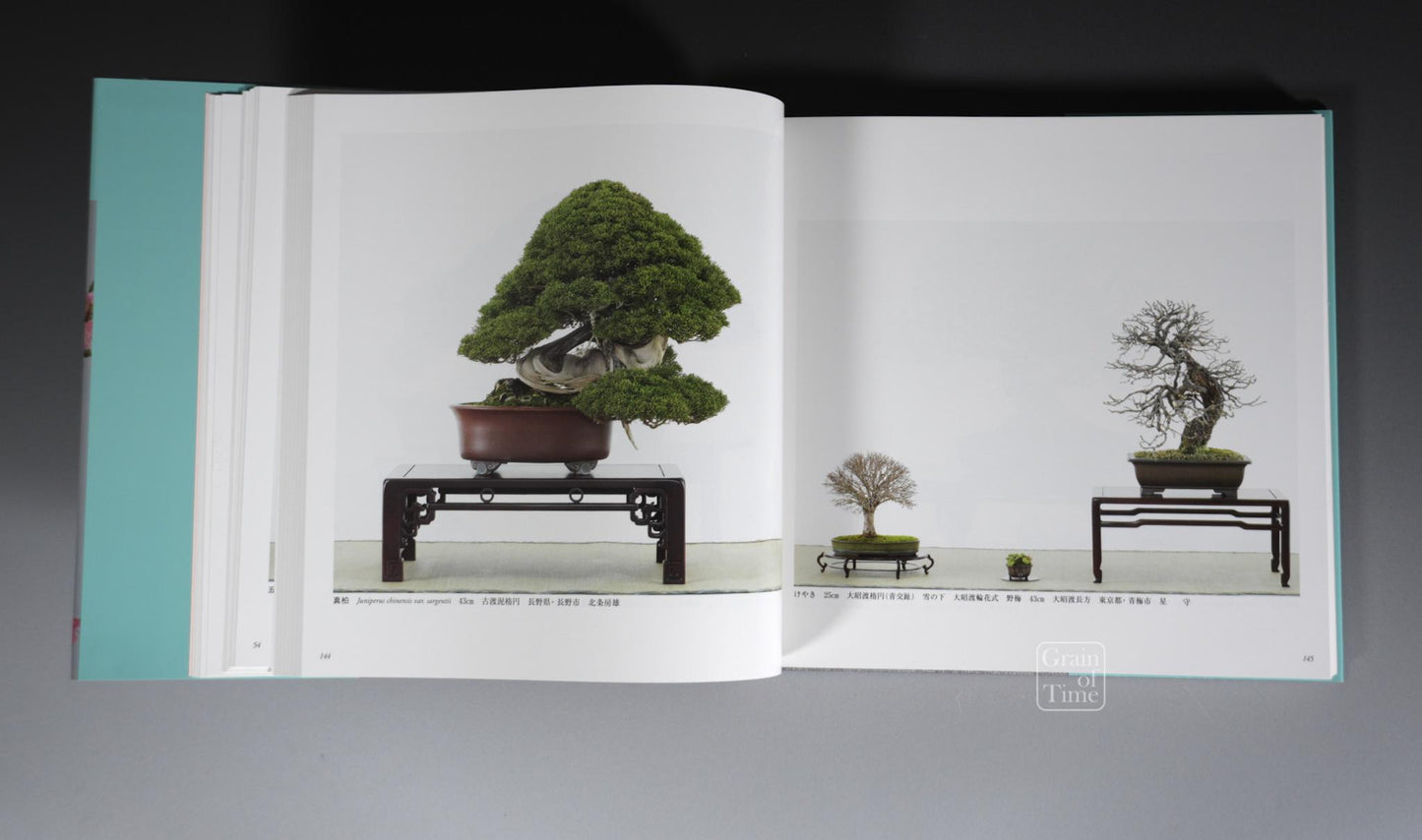 89th Kokufu Exhibition Catalogue - 2015