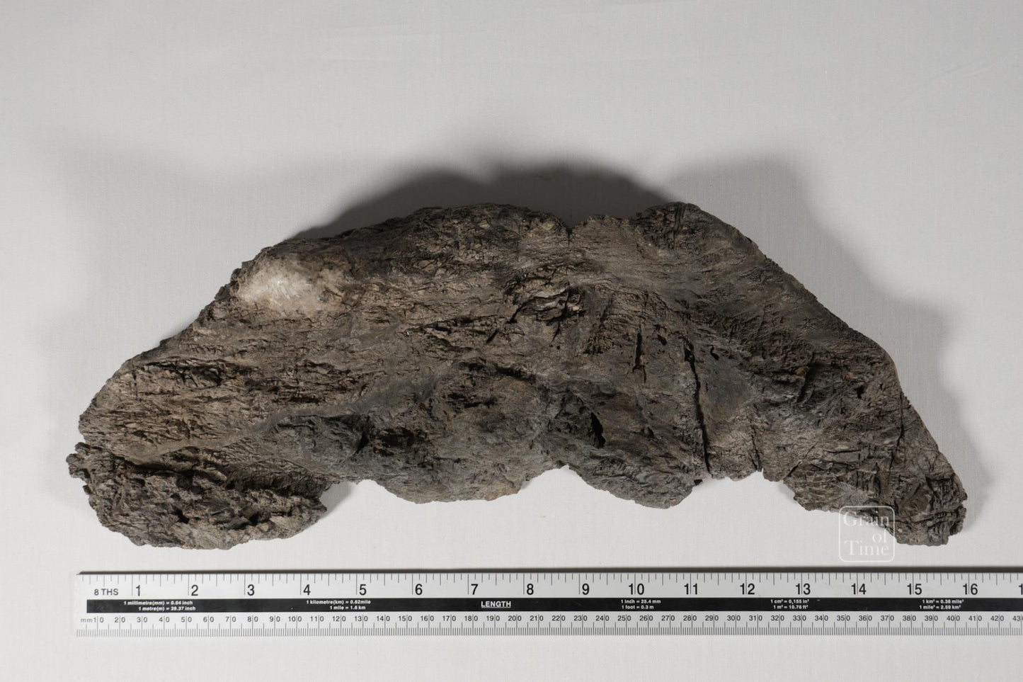 24982: Fujieda Crepe Suiseki (Yojuro Style)- 16½ in (42cm)