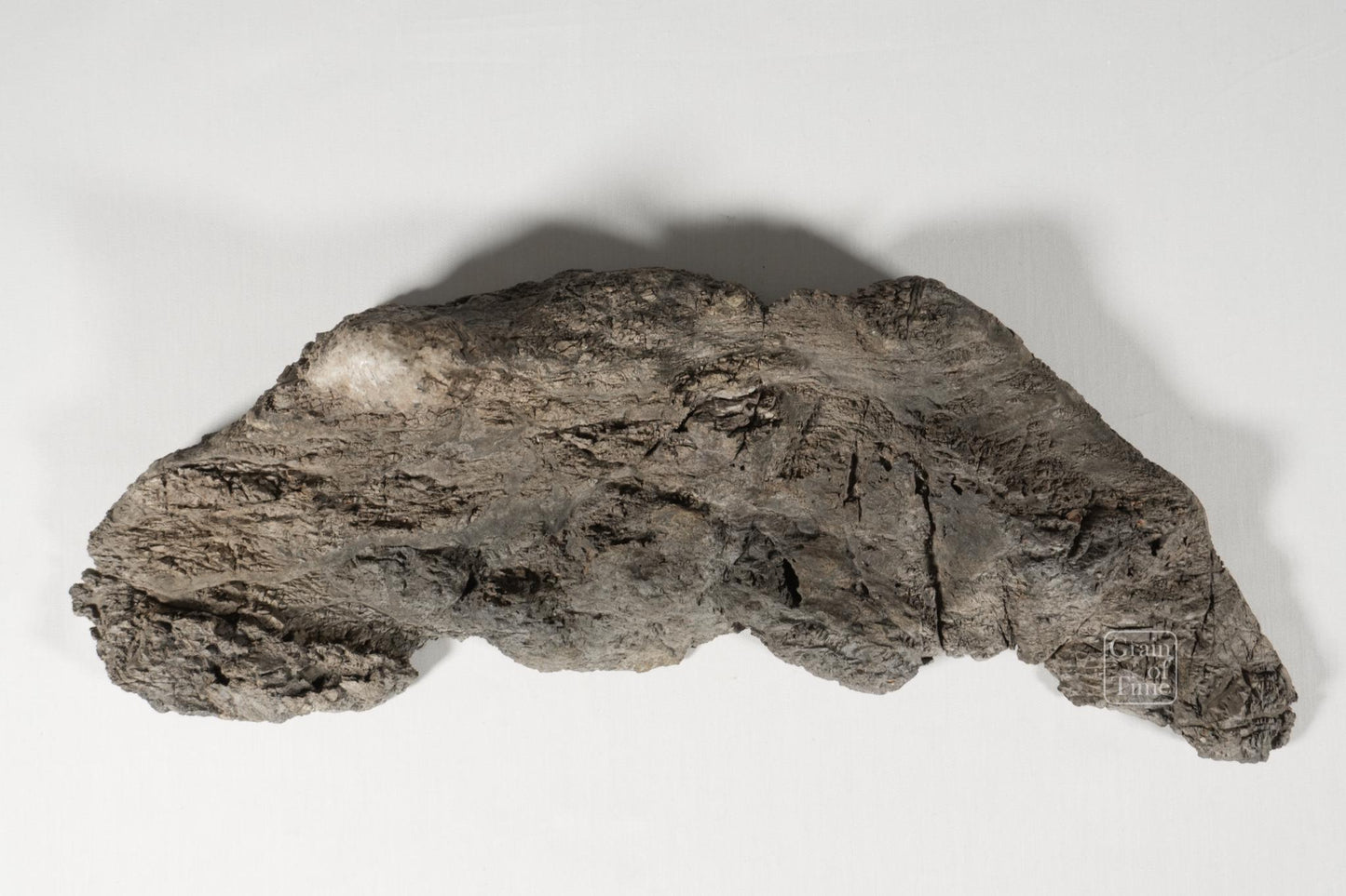 24982: Fujieda Crepe Suiseki (Yojuro Style)- 16½ in (42cm)