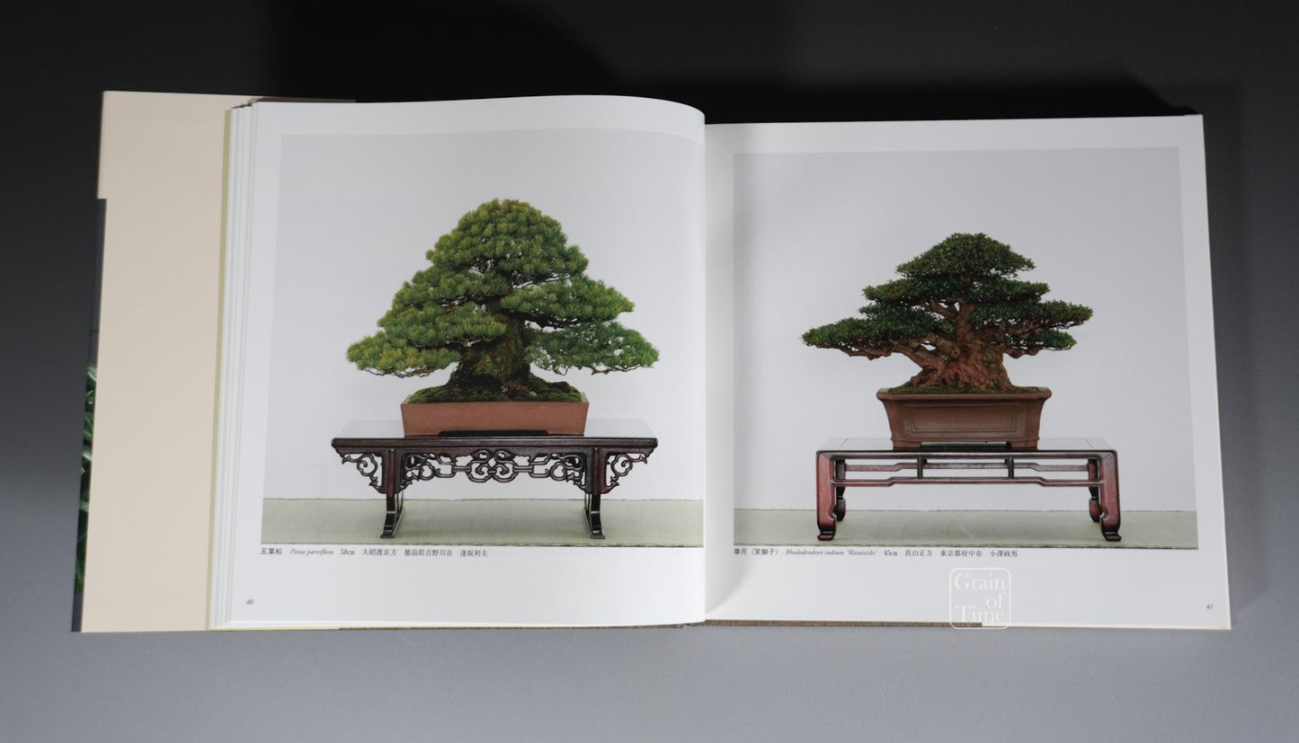 91st Kokufu Exhibition Catalogue - 2017