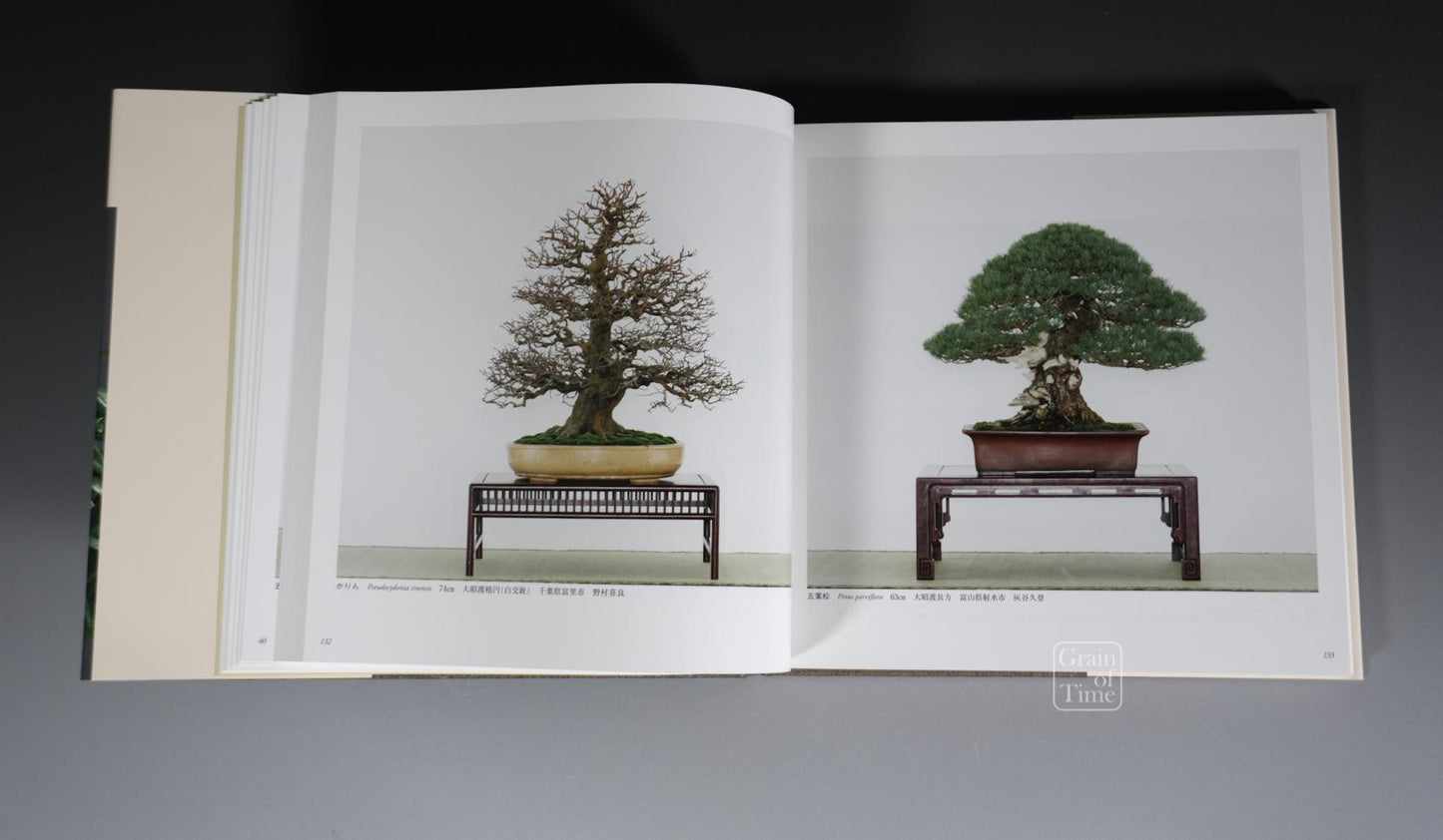 91st Kokufu Exhibition Catalogue - 2017