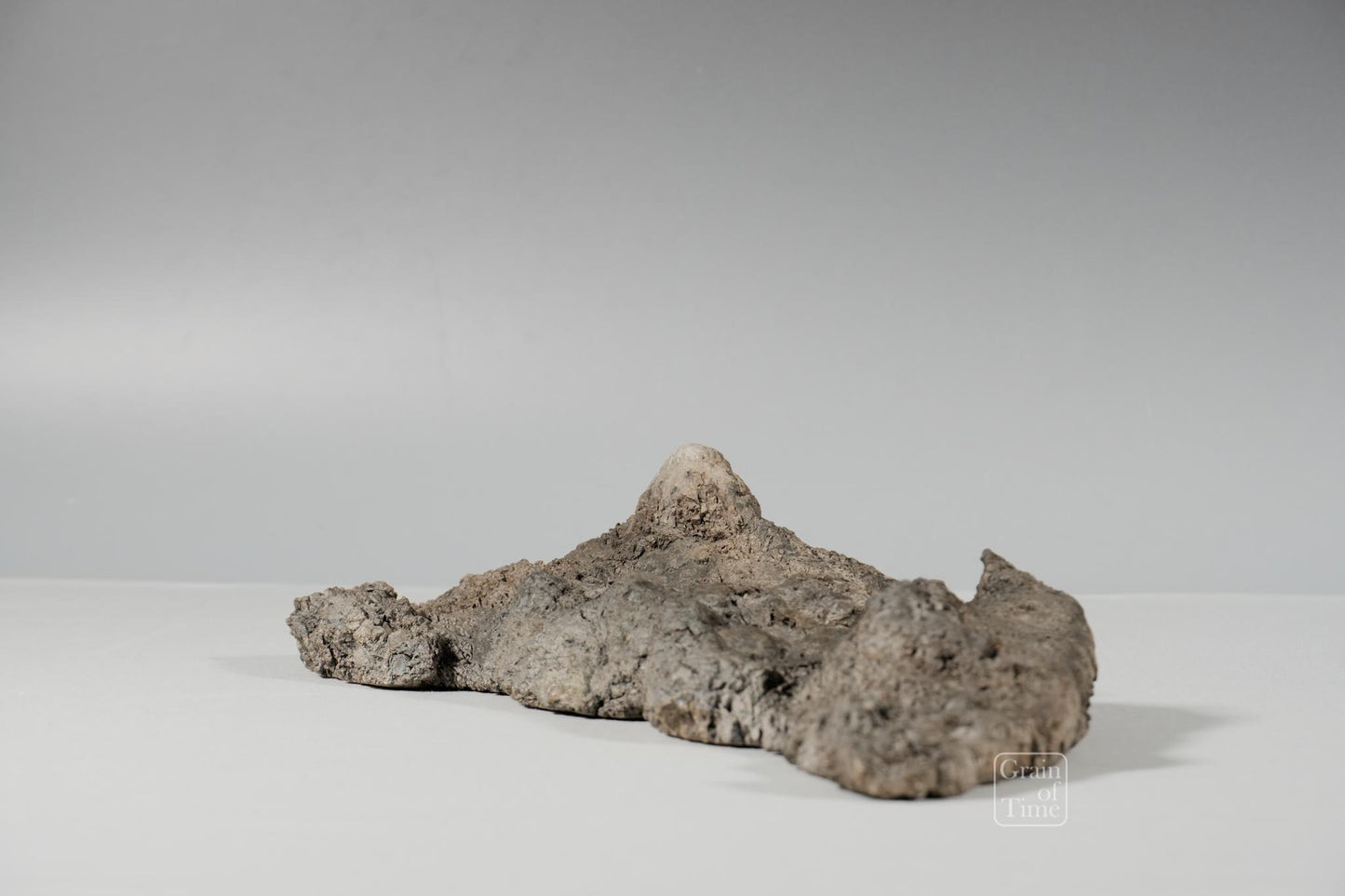 24982: Fujieda Crepe Suiseki (Yojuro Style)- 16½ in (42cm)