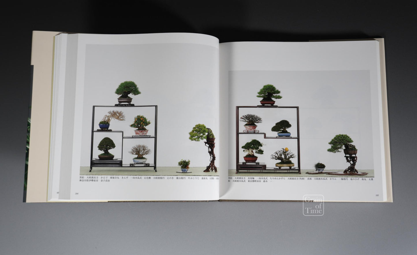 91st Kokufu Exhibition Catalogue - 2017