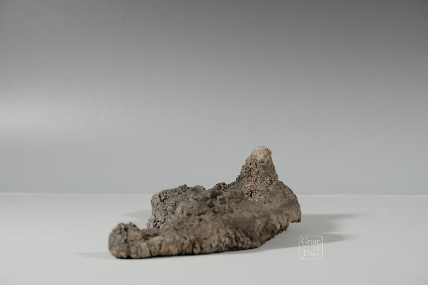 24982: Fujieda Crepe Suiseki (Yojuro Style)- 16½ in (42cm)