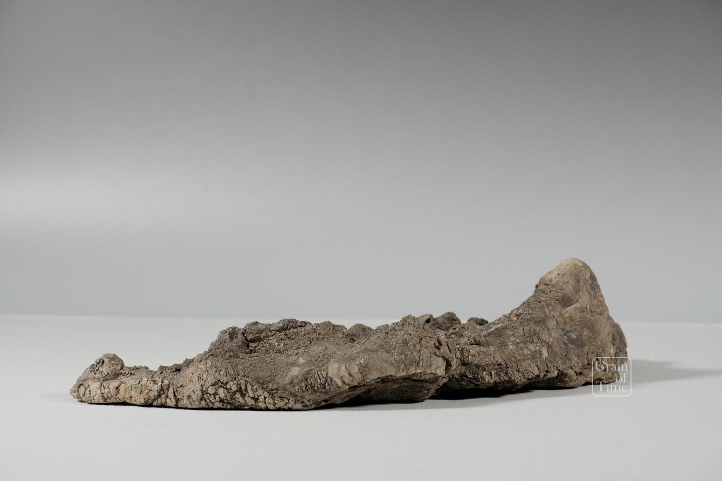 24982: Fujieda Crepe Suiseki (Yojuro Style)- 16½ in (42cm)