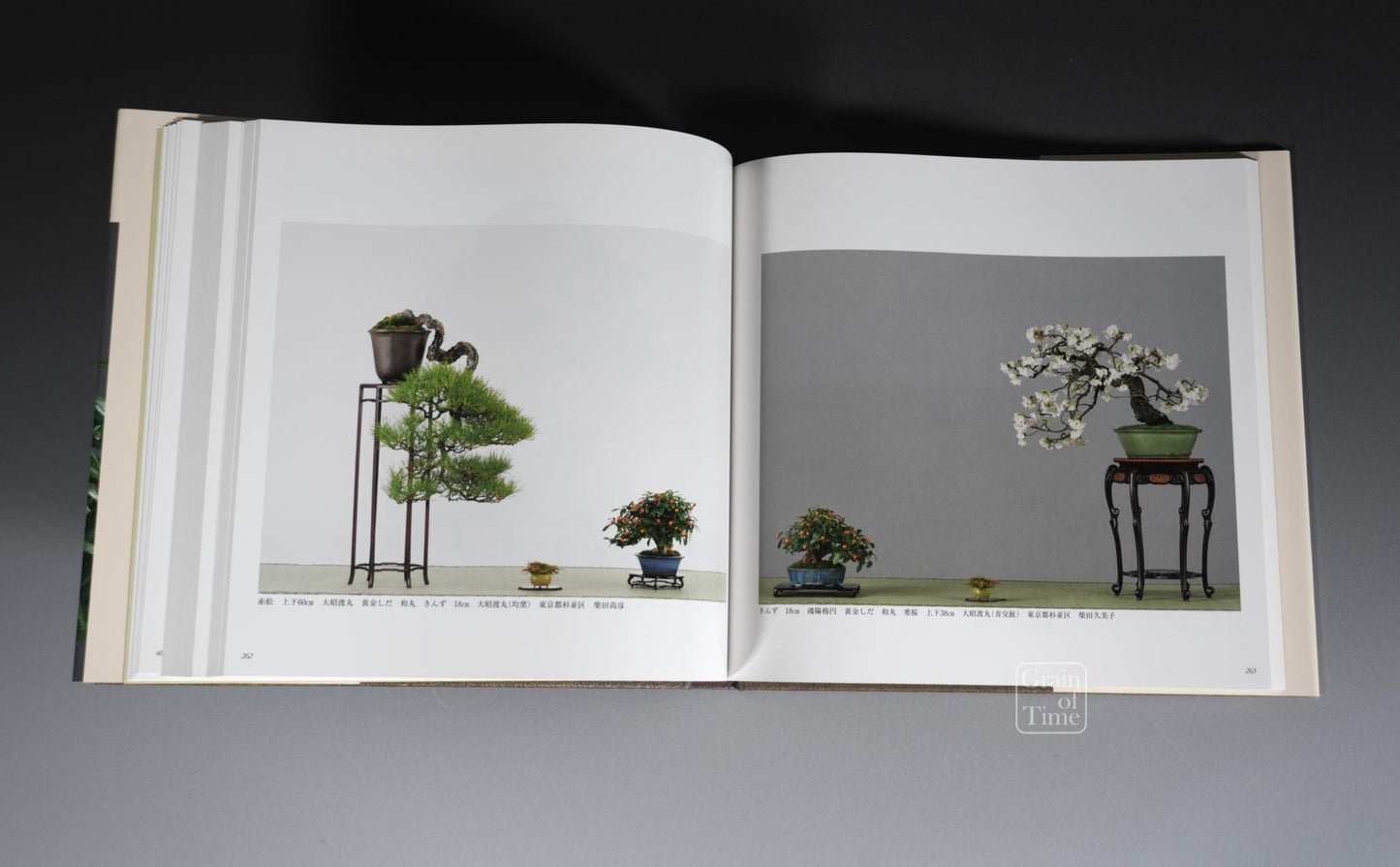 91st Kokufu Exhibition Catalogue - 2017