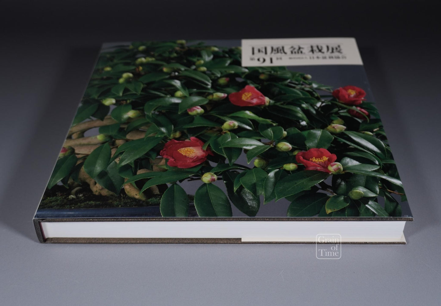 91st Kokufu Exhibition Catalogue - 2017