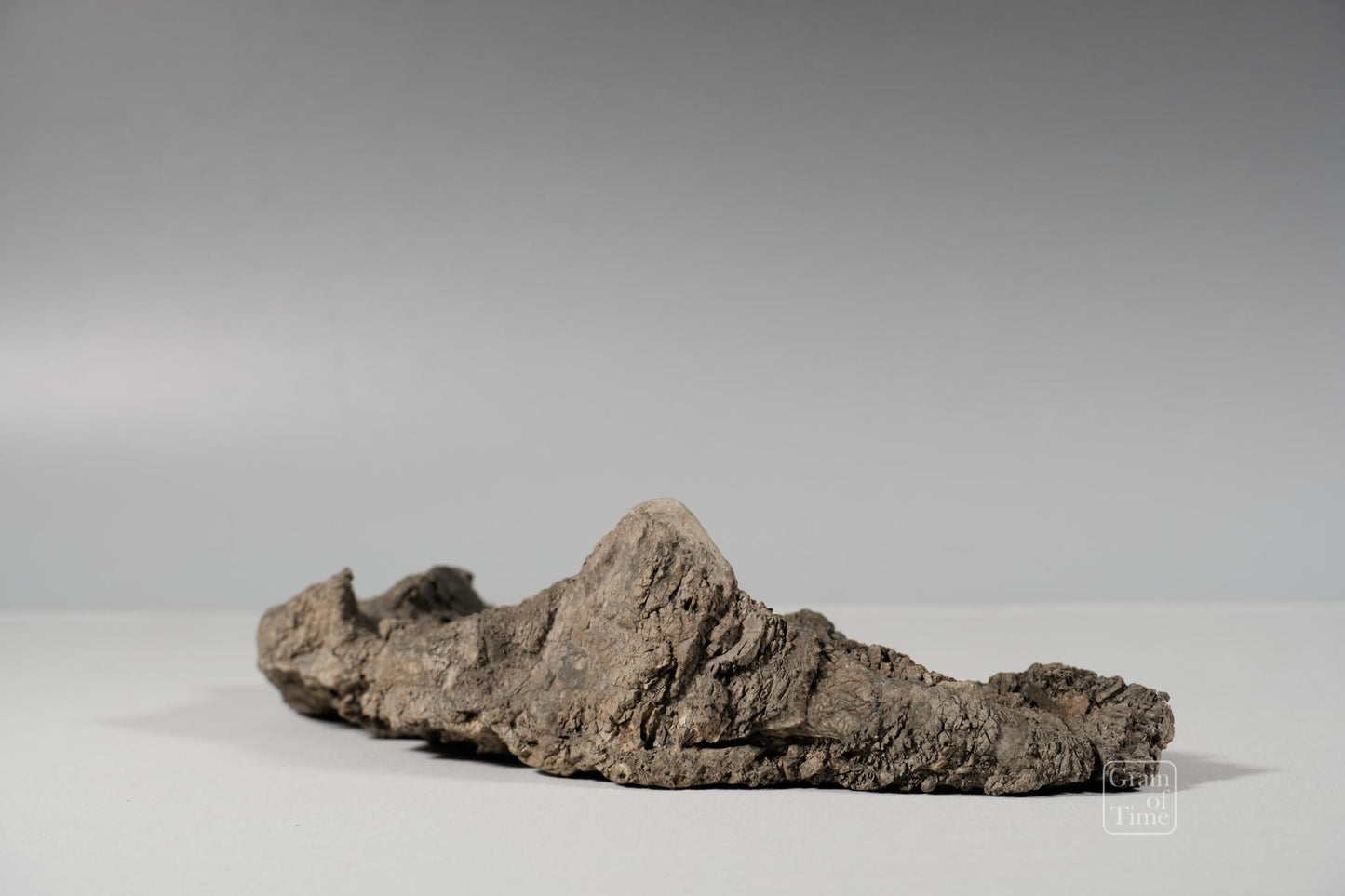 24982: Fujieda Crepe Suiseki (Yojuro Style)- 16½ in (42cm)